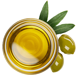 روغن زیتون فرابکر رودبار